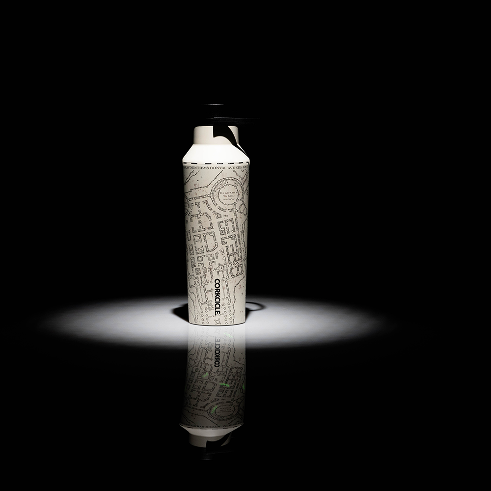 harry-potter-sport-canteen-z6 6063d66029fb--HP-MM-LS1.png