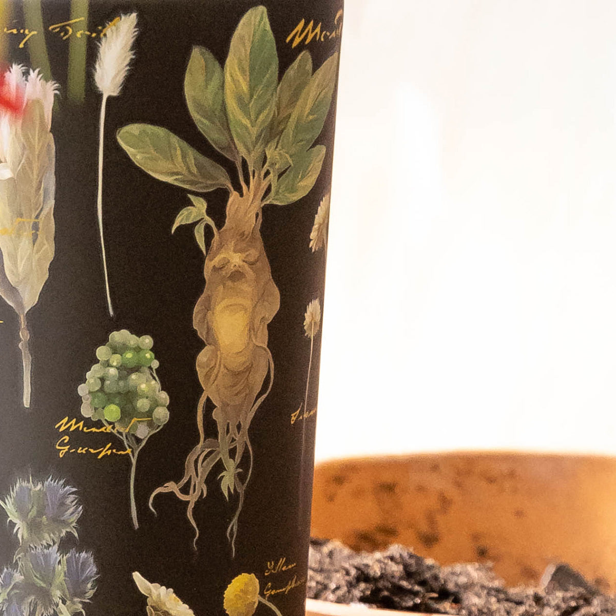 harry-potter-cold-cup-r0 Herbology-3.jpg